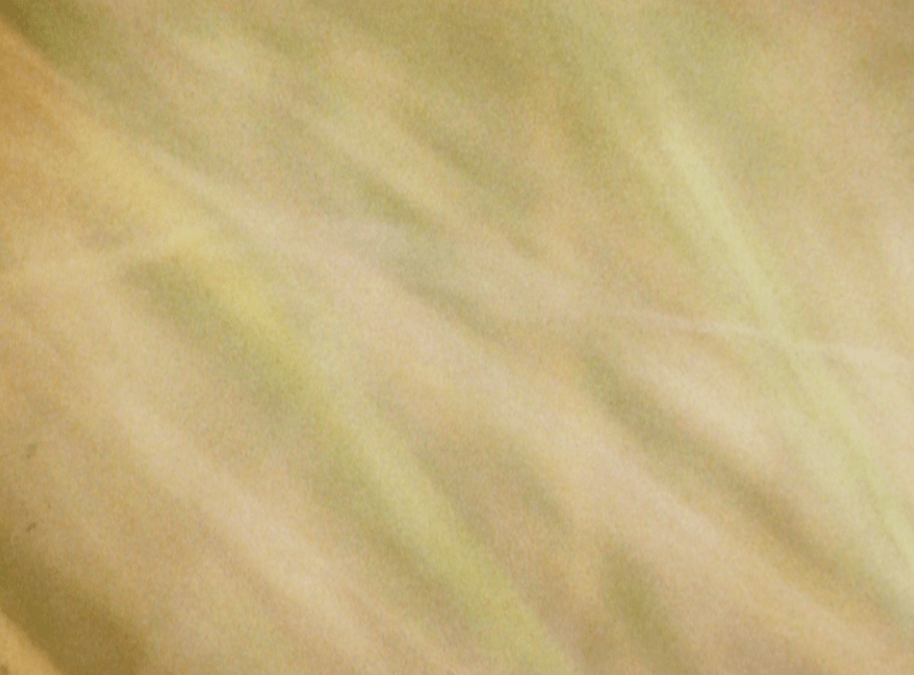 au-bord-image-01-ronceray